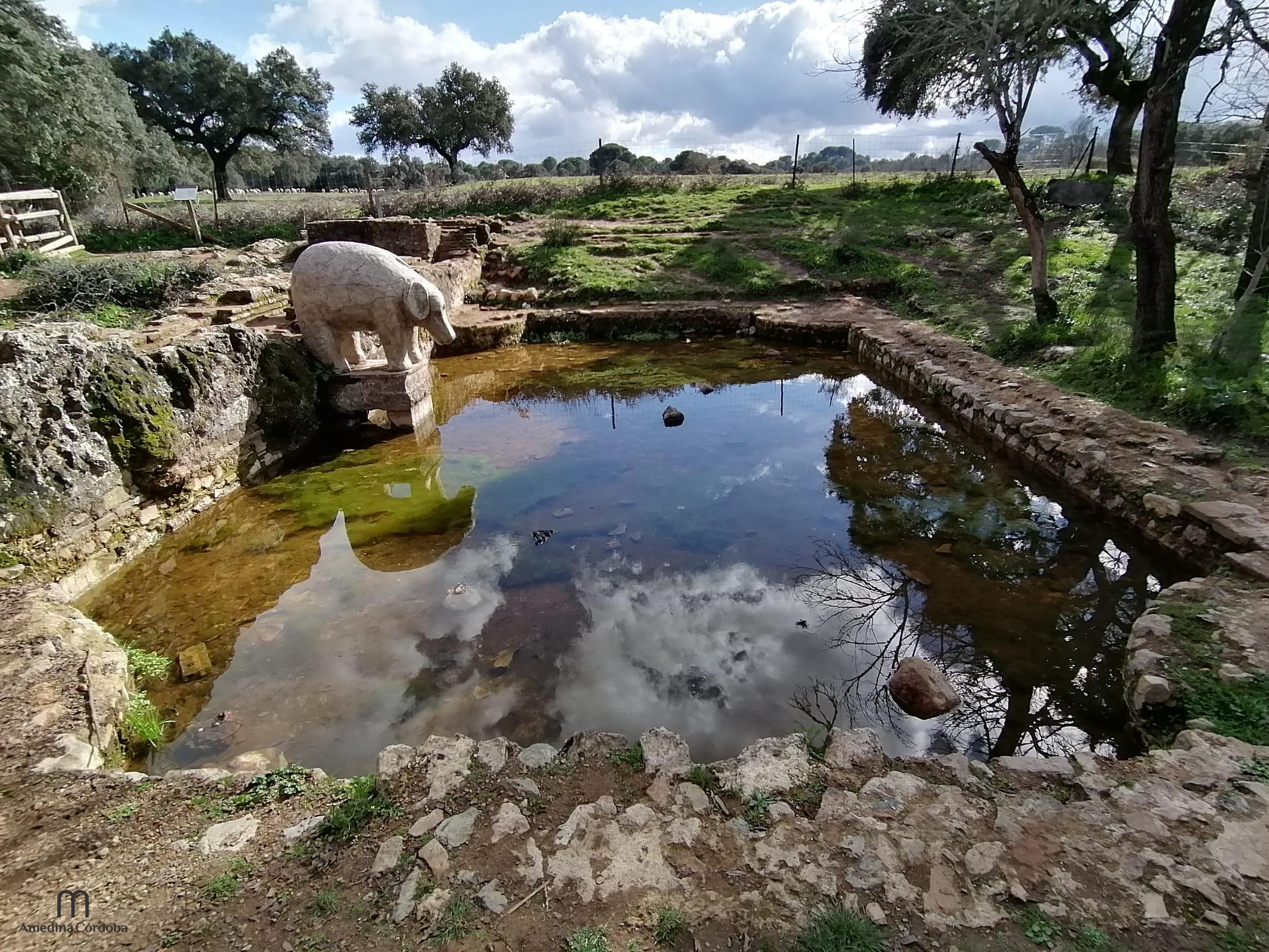 Fuente del Elefante » Amedina