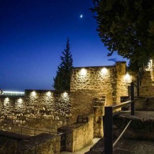 Visita nocturna en Medina Azahara
